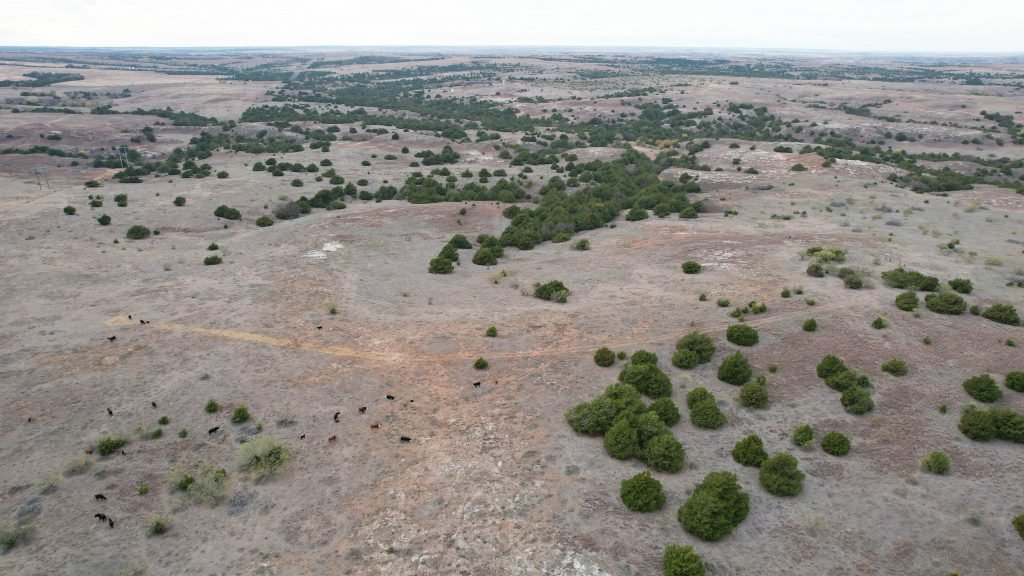 Drone Photo