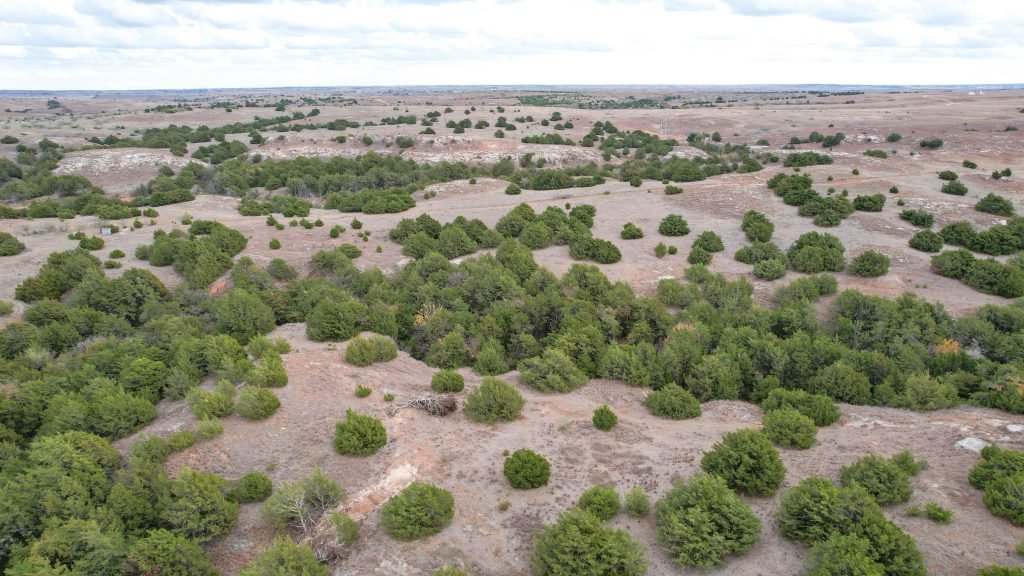 Drone Photo