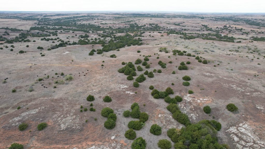 Drone Photo