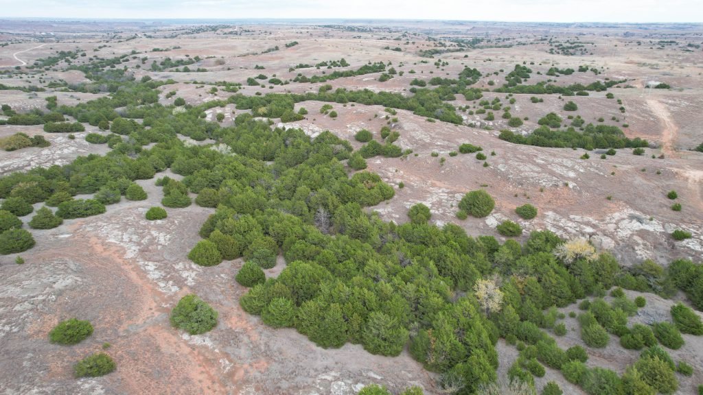 Drone Photo