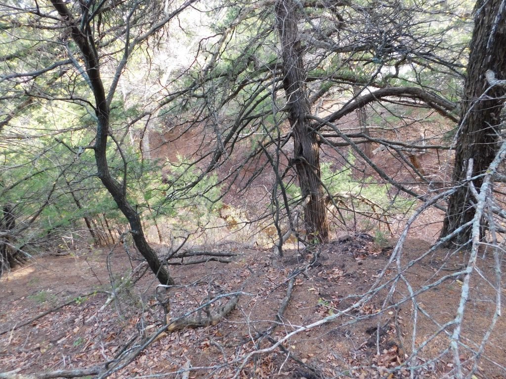 Photo 43