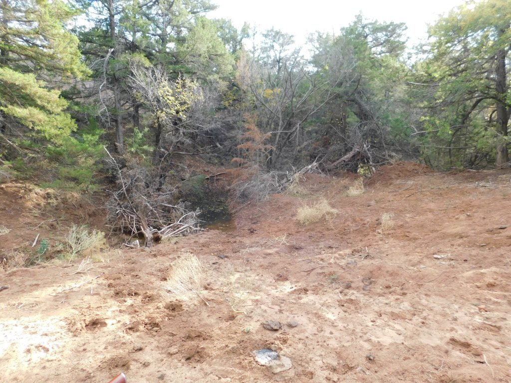 Photo 35