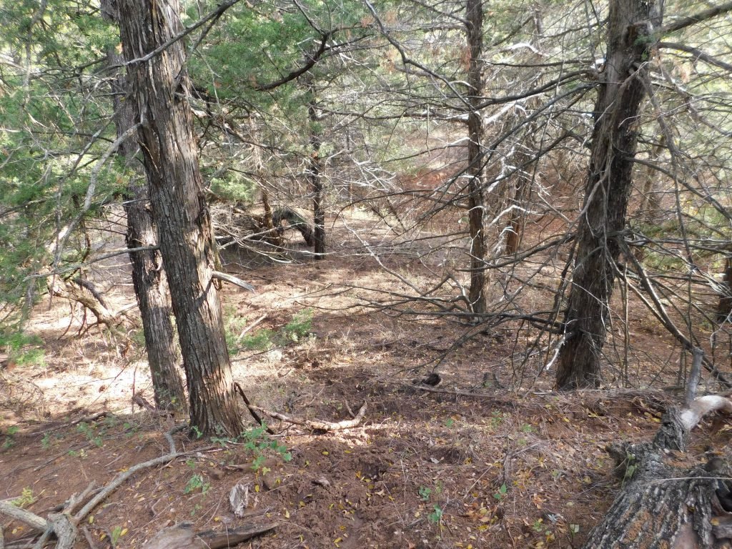 Photo 47