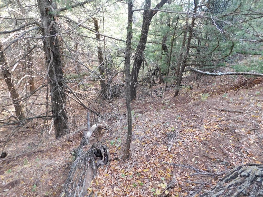 Photo 46