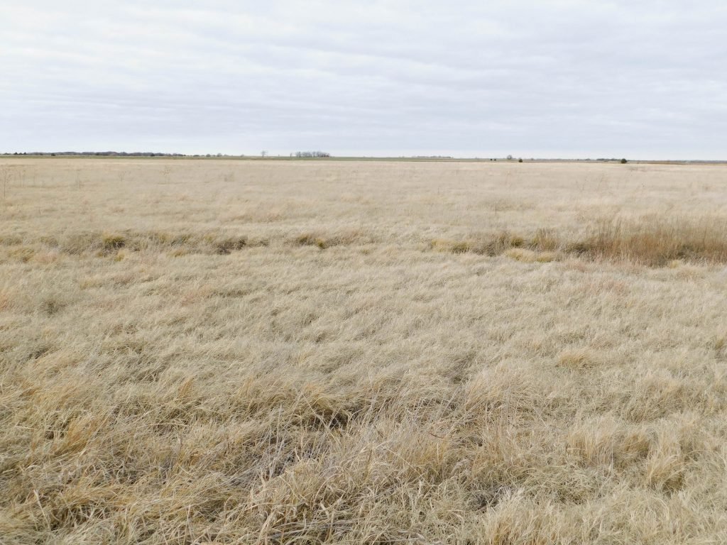 Tract 2