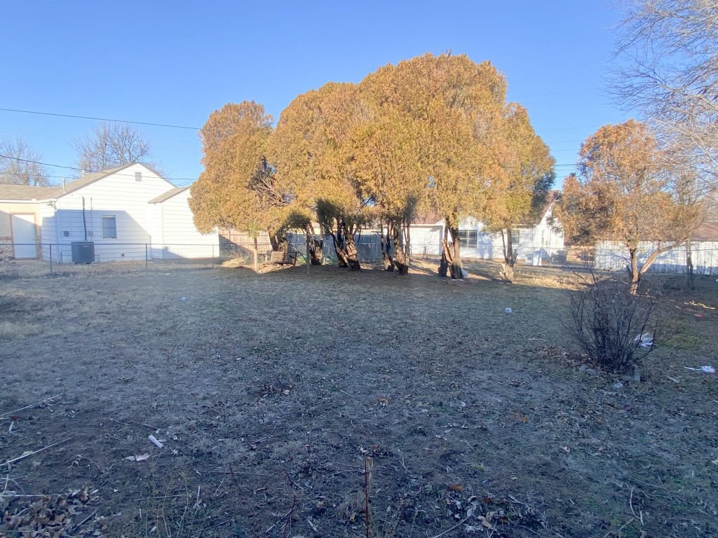Photo 41