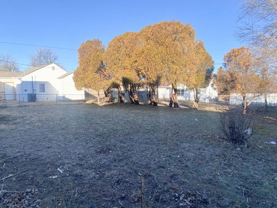 Photo 41