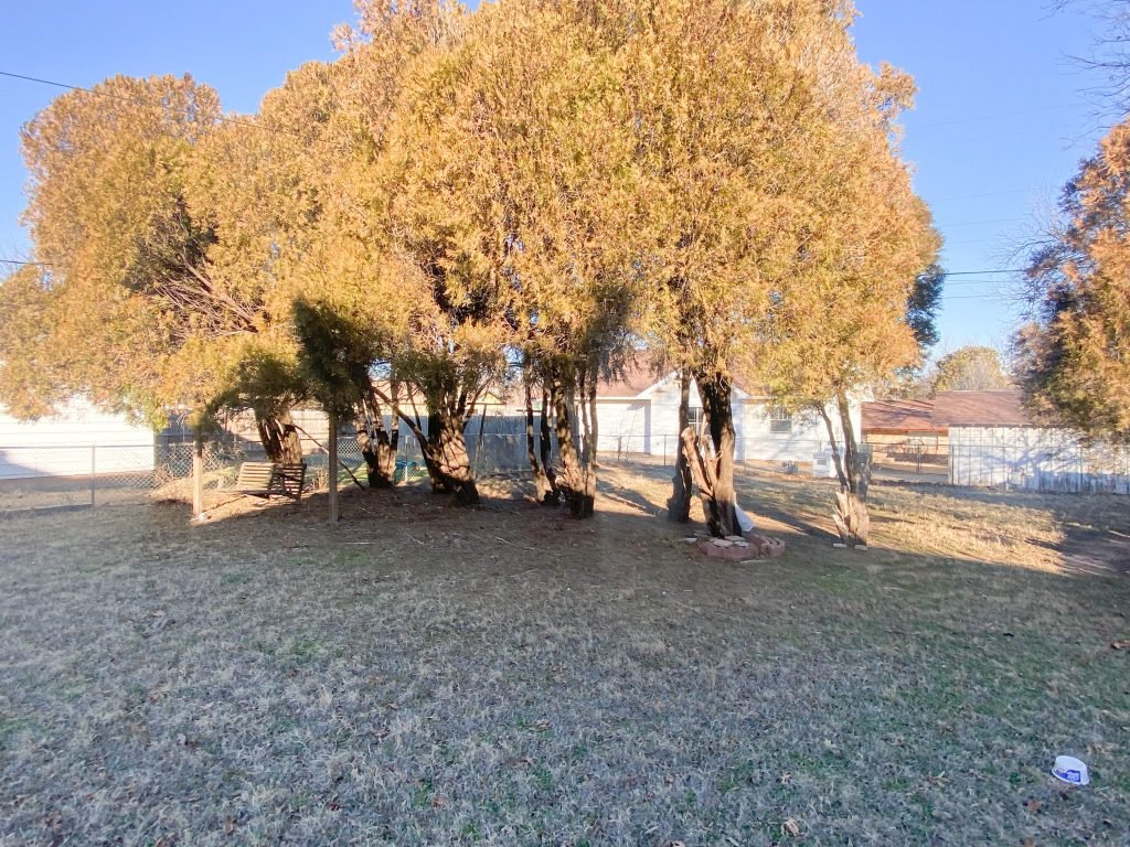 Photo 42