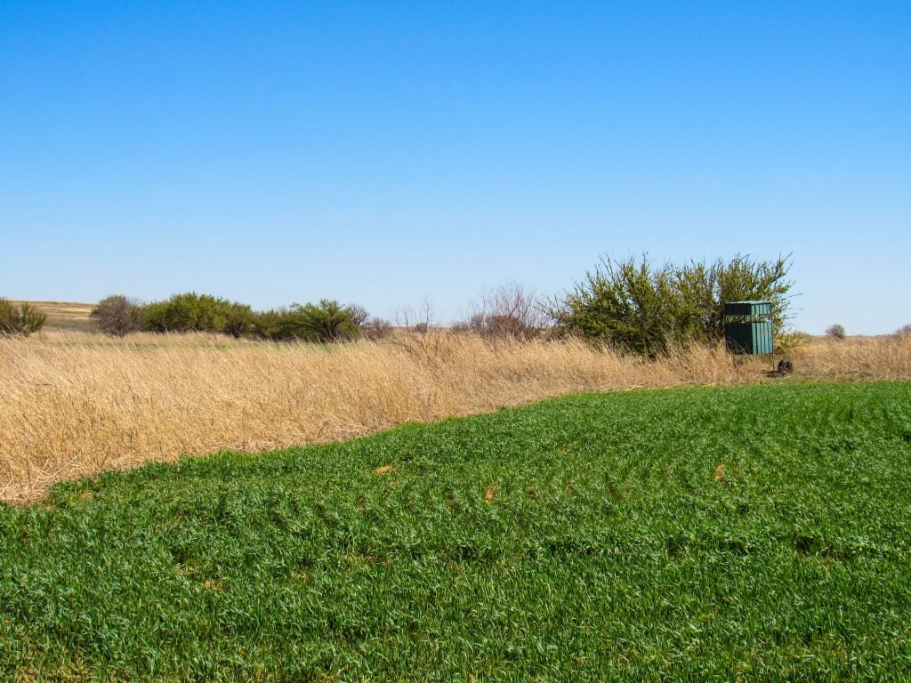 SOLD!!! 318± ACRES * ALFALFA COUNTY, OKLAHOMA * GREAT SALT PLAINS LAKE AREA * CROP * PASTURE * HUNTING * CATTLE GRAZING