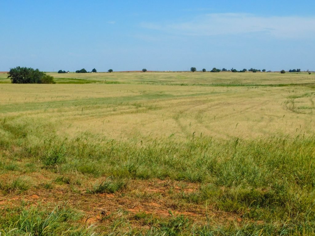 9/22 160± ACRES * BISON, OKLAHOMA AREA * GRASS PASTURE * CROP LAND * POND * GOOD CATTLE FARM * BUILDING LOCATION * CENTENNIAL FARM