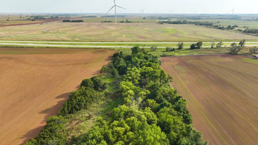 Drone Pics