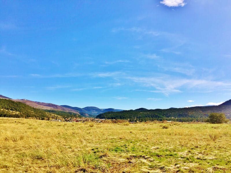 11/9 FISHING, HUNTING, GOLF, SKIING, FOUR WHEELING, HIKING, PUBLIC LAND, RIO GRANDE RIVER, GOLD MEDAL FLYFISHING, RIO GRANDE CLUB, CONDOS, HOTEL, TROPHY HOME, SNOWBOARDING, POWDER COUNTRY, SILVER THREAD, SCENIC BYWAY
