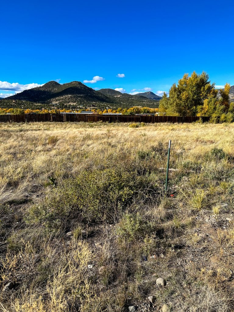 11/9 Jackson Heights Addition – Building Site – South Fork CO