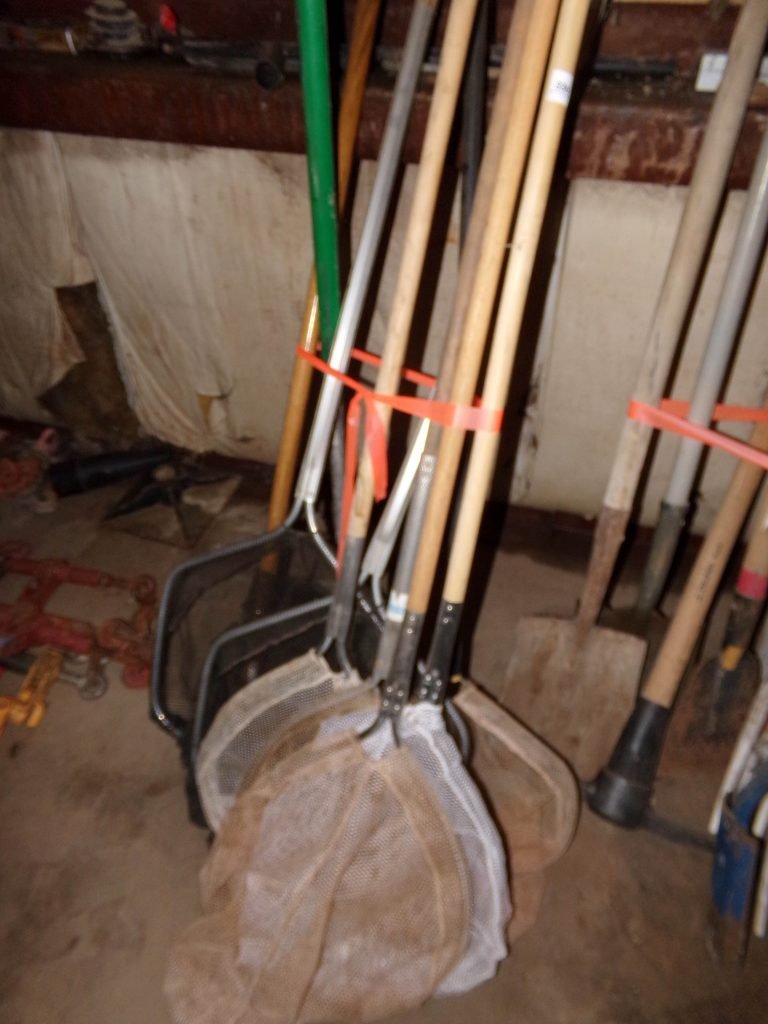 Photo 18