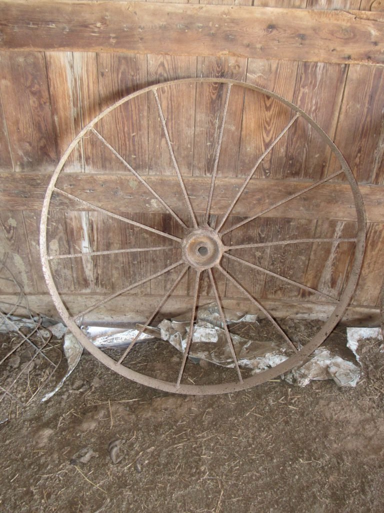 Photo 42