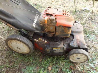 Photo 46