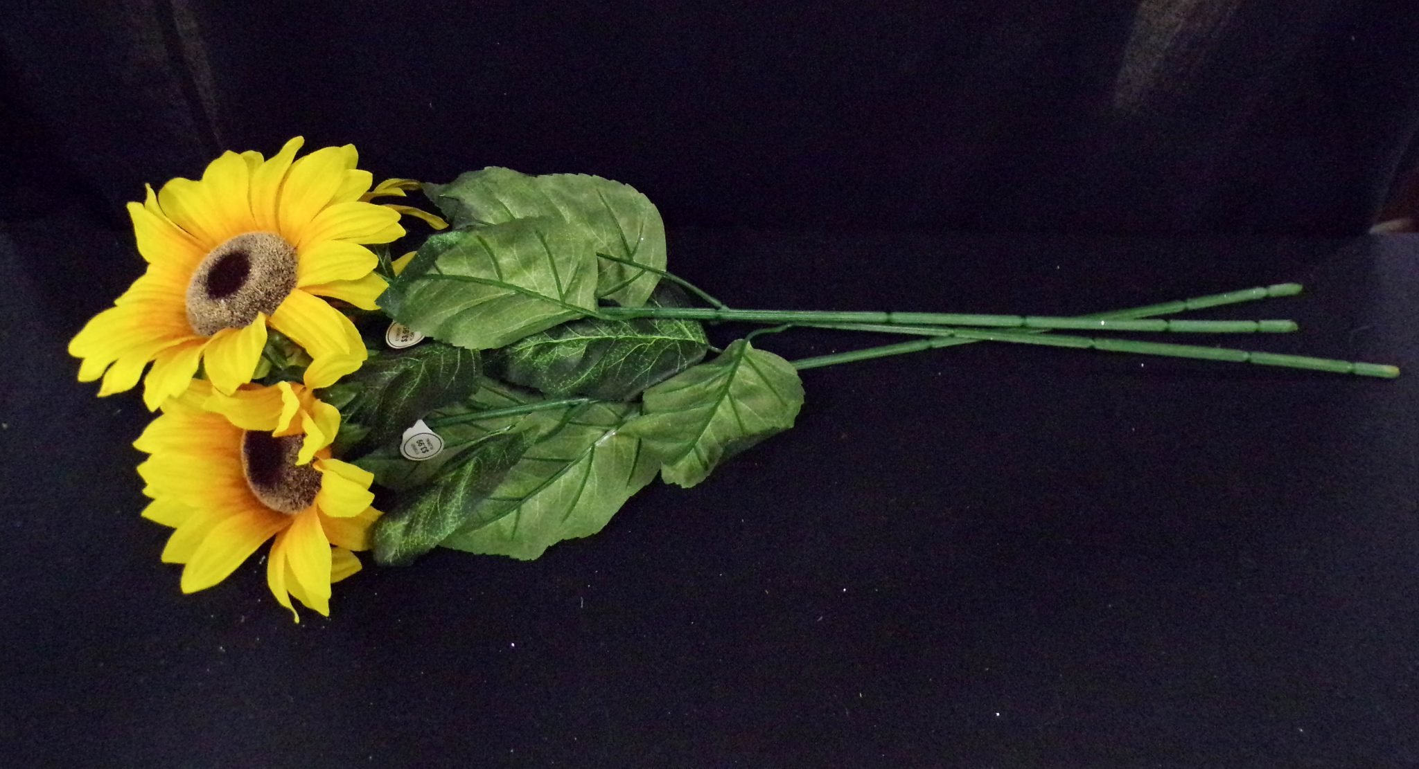 Photo 13