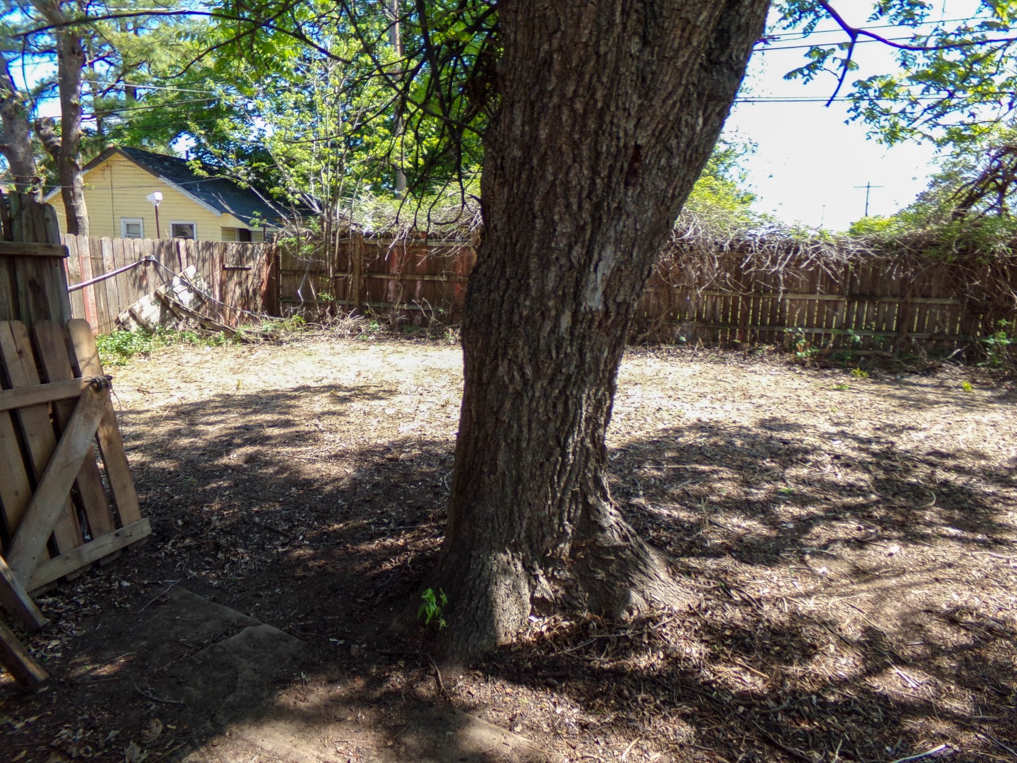 Photo 27