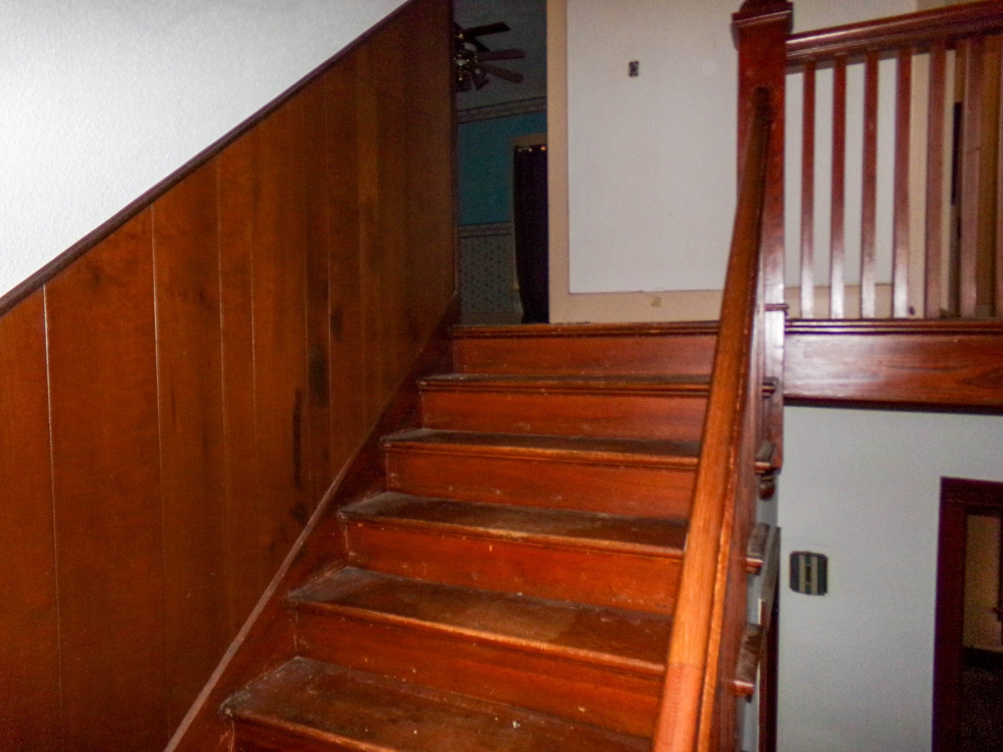 Photo 24
