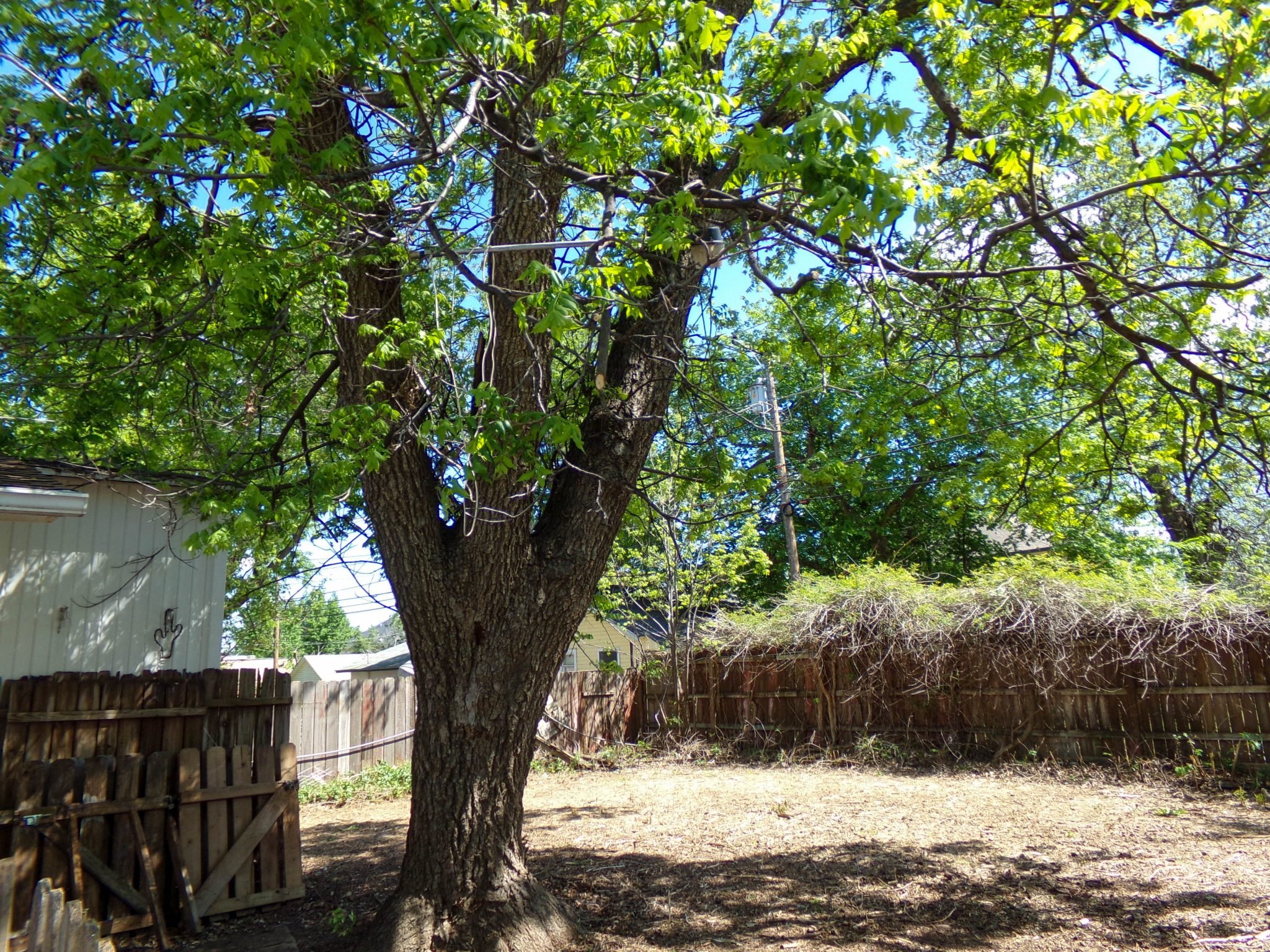 Photo 28