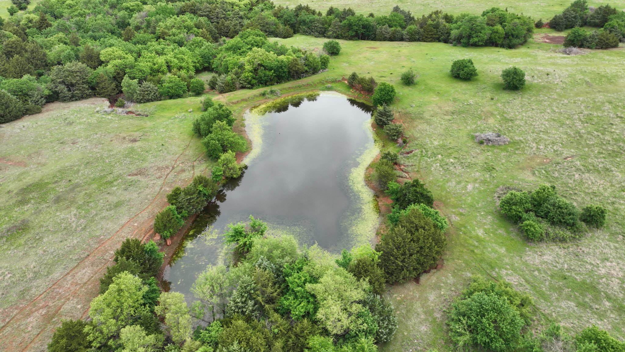 Drone Pics