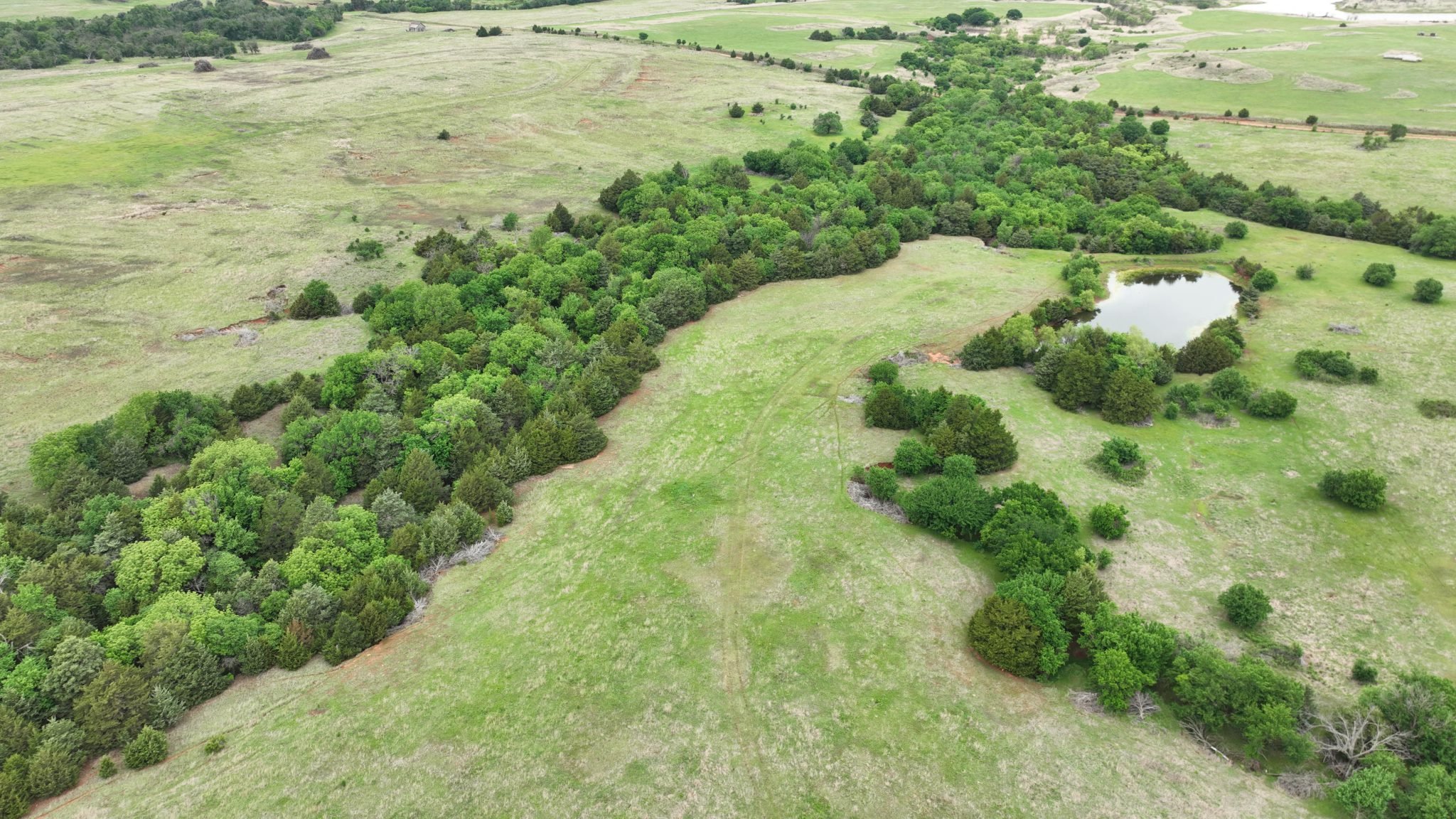 Drone Pics