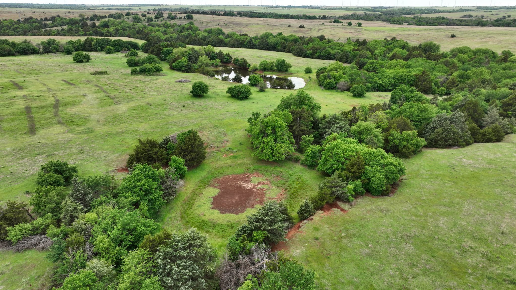 Drone Pics