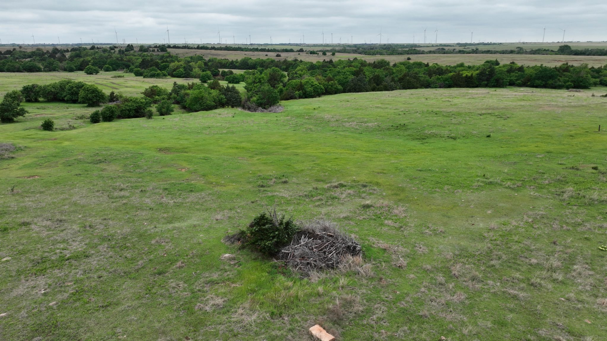 Drone Pics