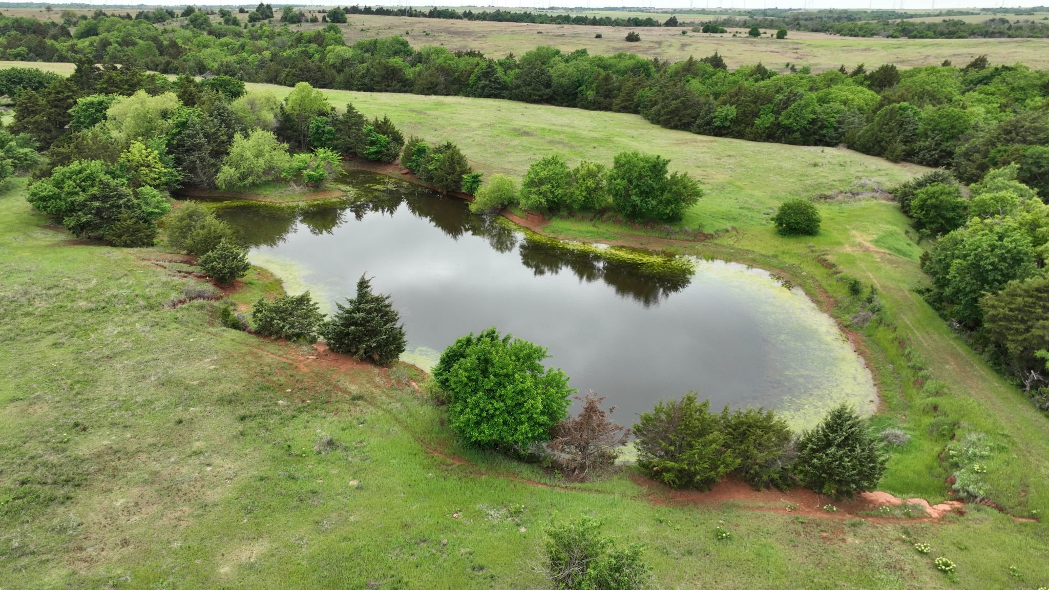 Drone Pics