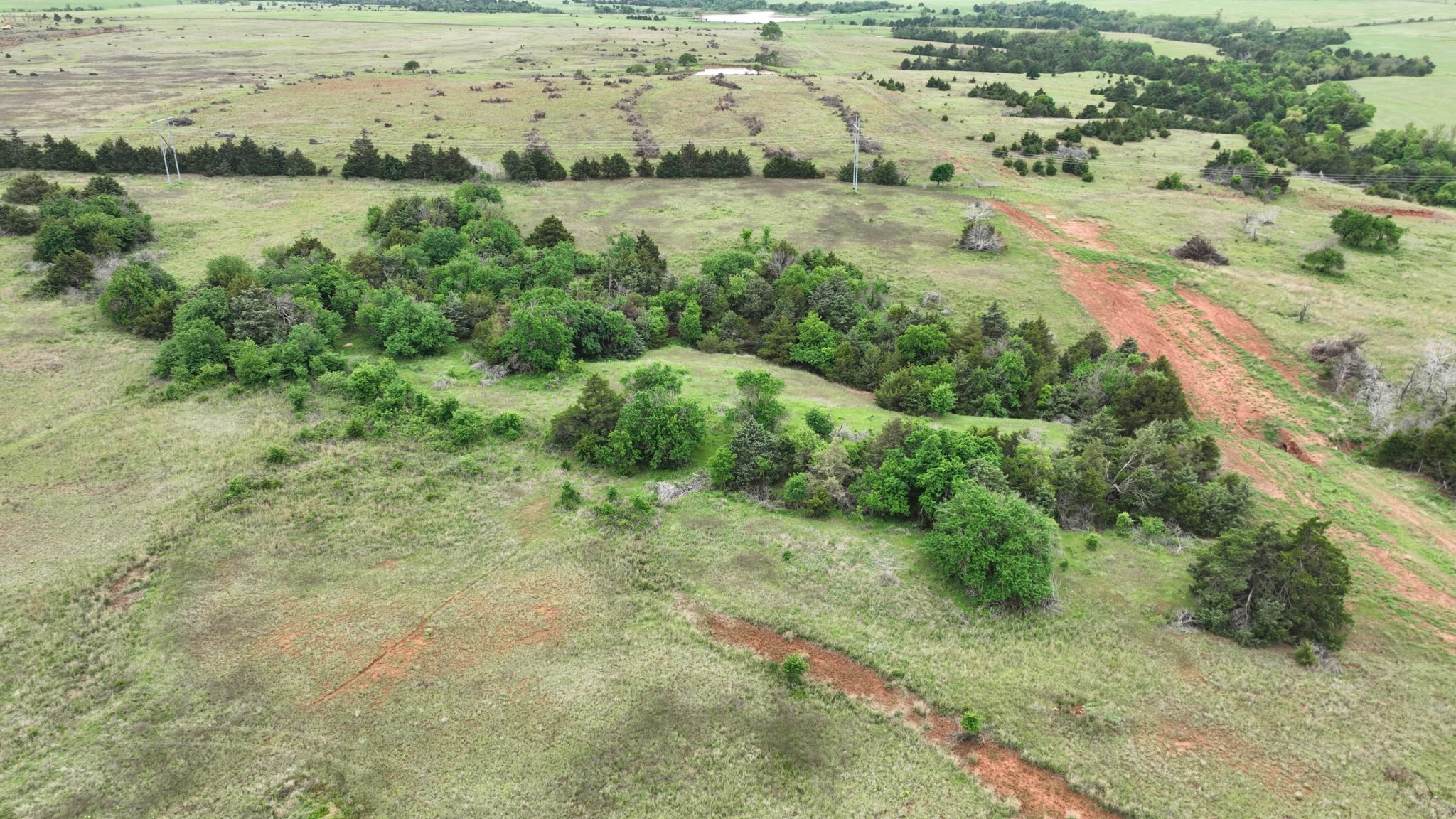 Drone Pics