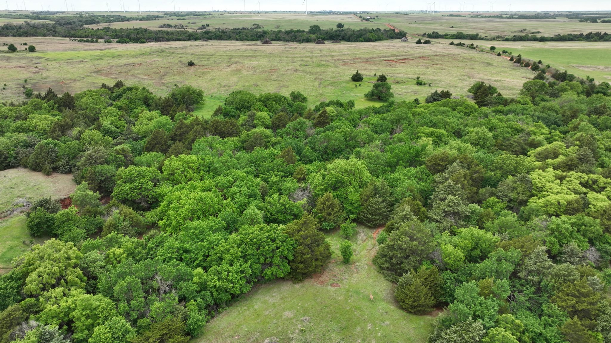 Drone Pics