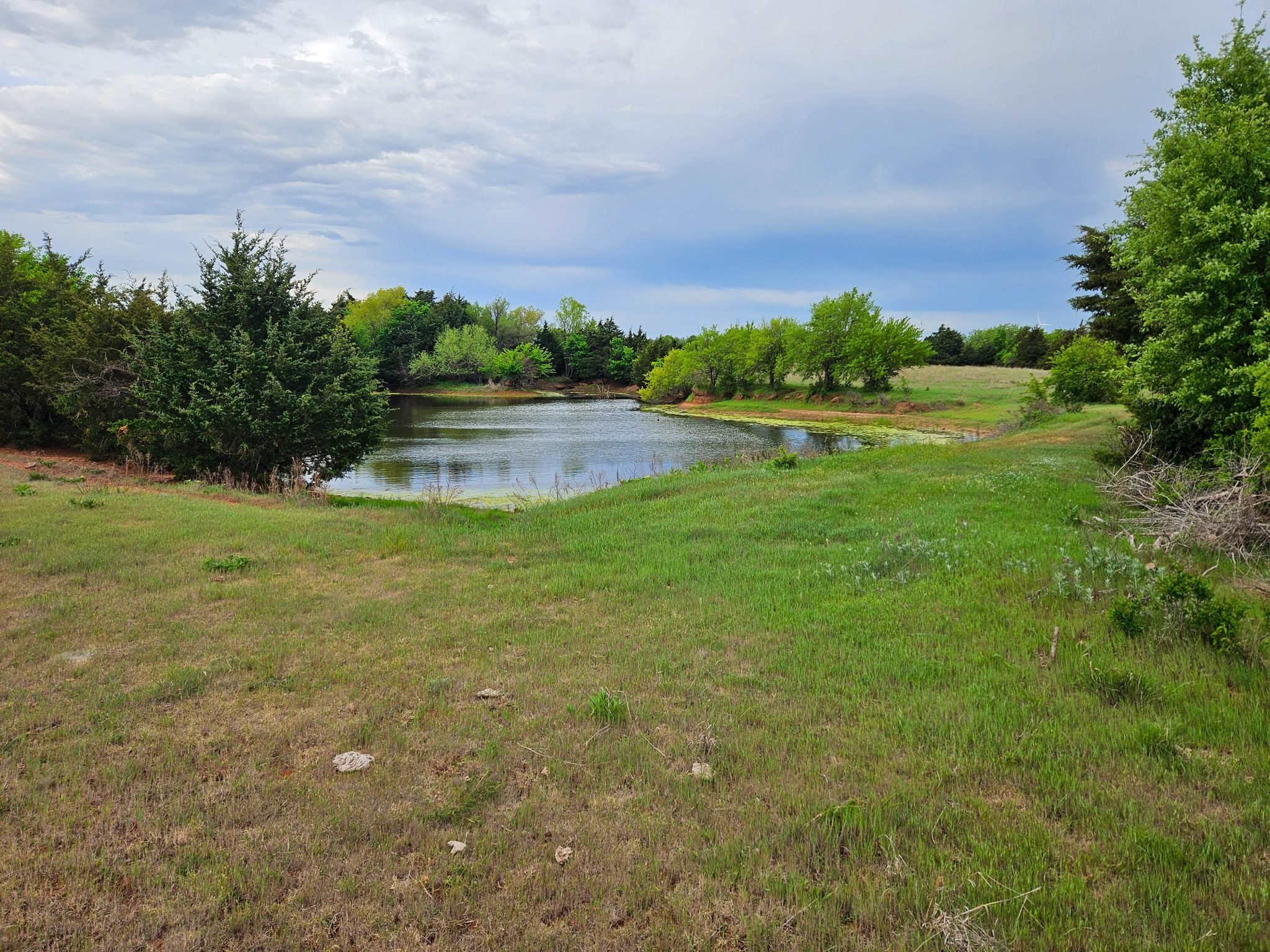 6/4 160± acres-Garfield County-Covington/Lucien-Grassland-Livestock Production-Hunting-Timber-Scenic Views