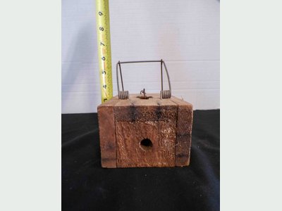 Photo 11