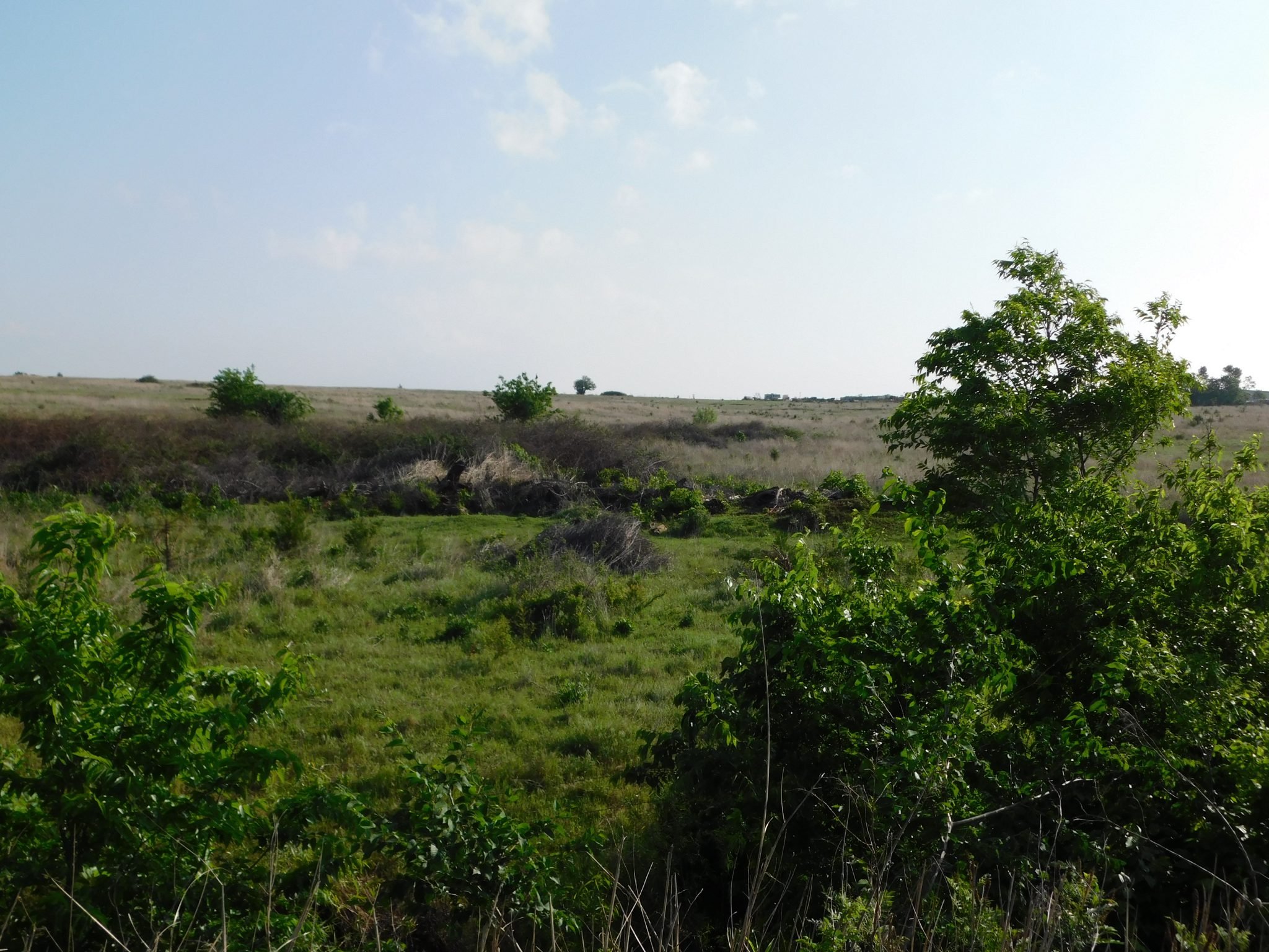 6/14 160± ACRES * NOBLE COUNTY, OKLAHOMA * PONDS * GRASS/TIMBER * CATTLE CORRALS
