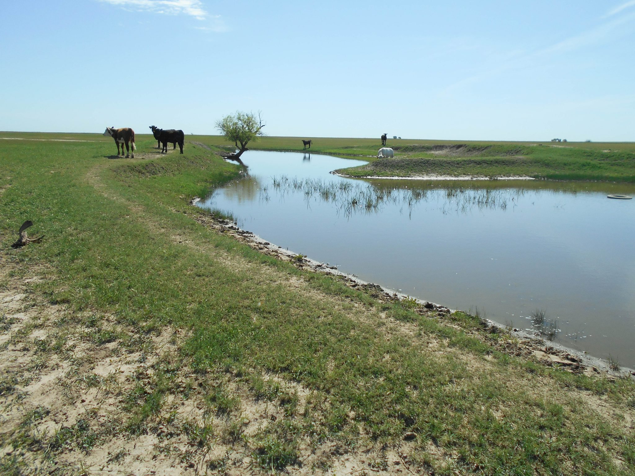 6/27 160± ACRES-GRANT COUNTY Oklahoma