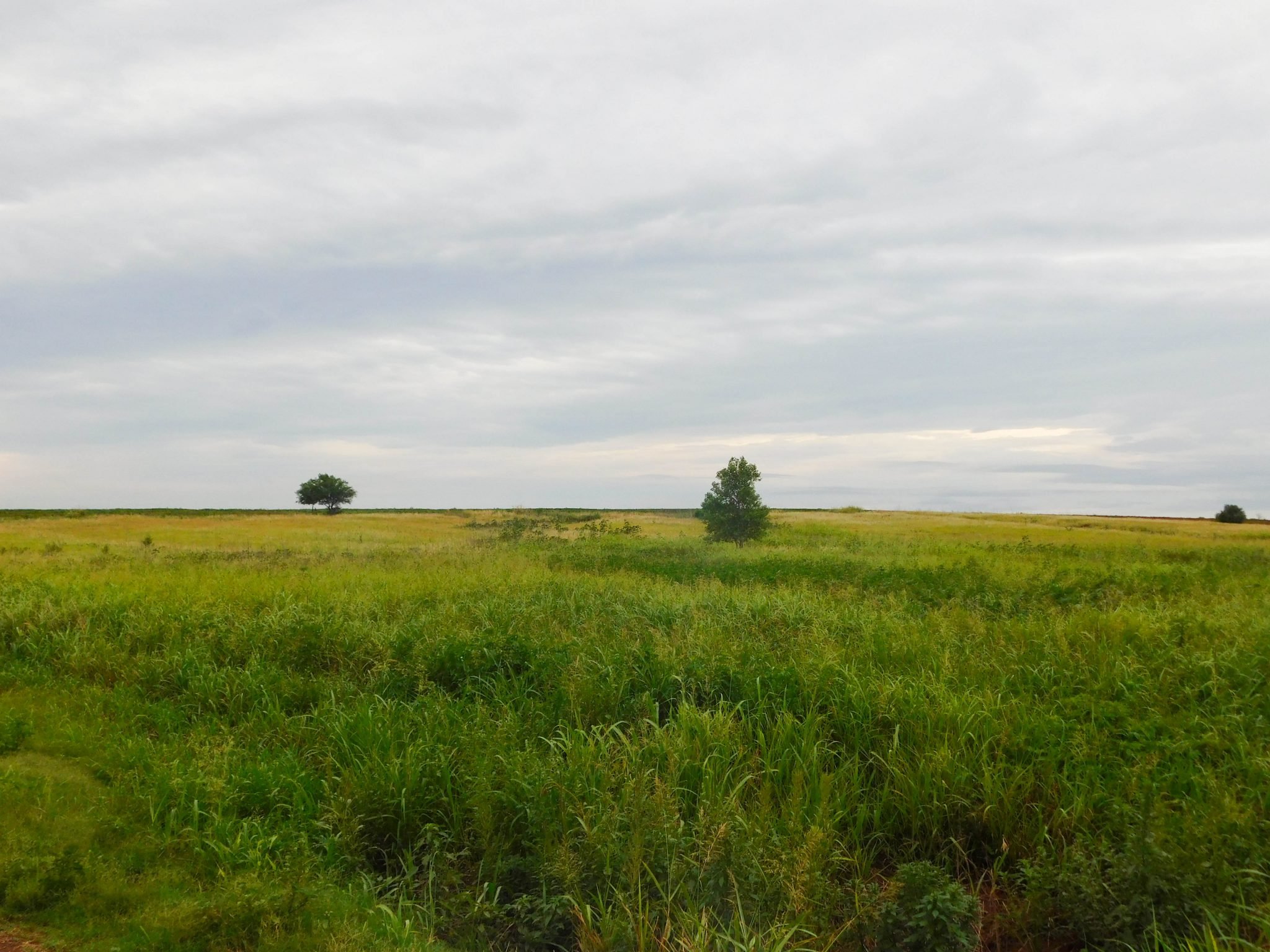 8/22 160± ACRES * GARBER/BILLINGS AREA * CROPLAND * GRASS PASTURE * POND