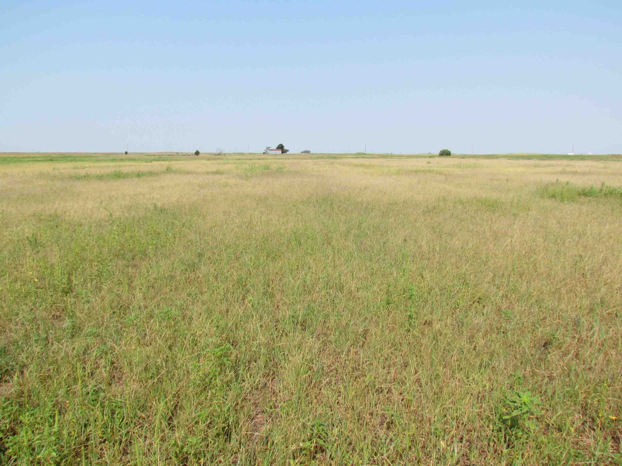 8/22 CROPLAND * 141.63± Acres * CARMEN, OK.