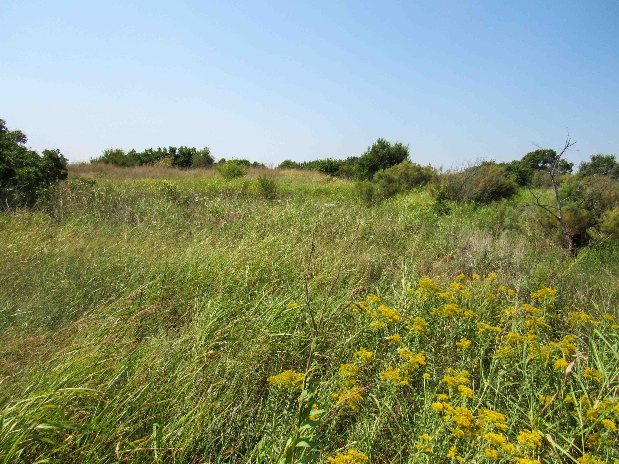 TRACT 3: 9.93± Acres Wakita Oklahoma