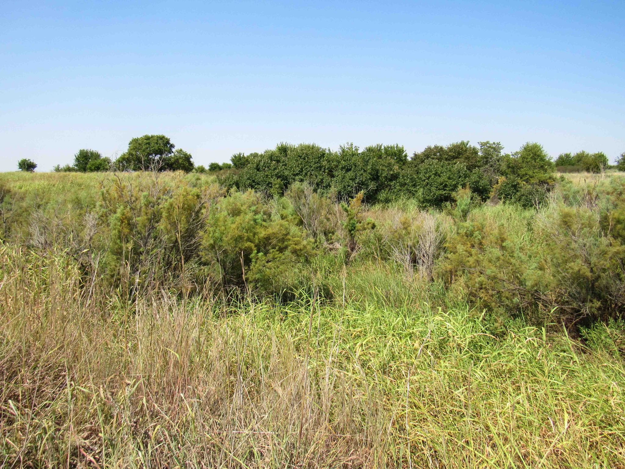TRACT 3: 9.93± Acres Wakita Oklahoma