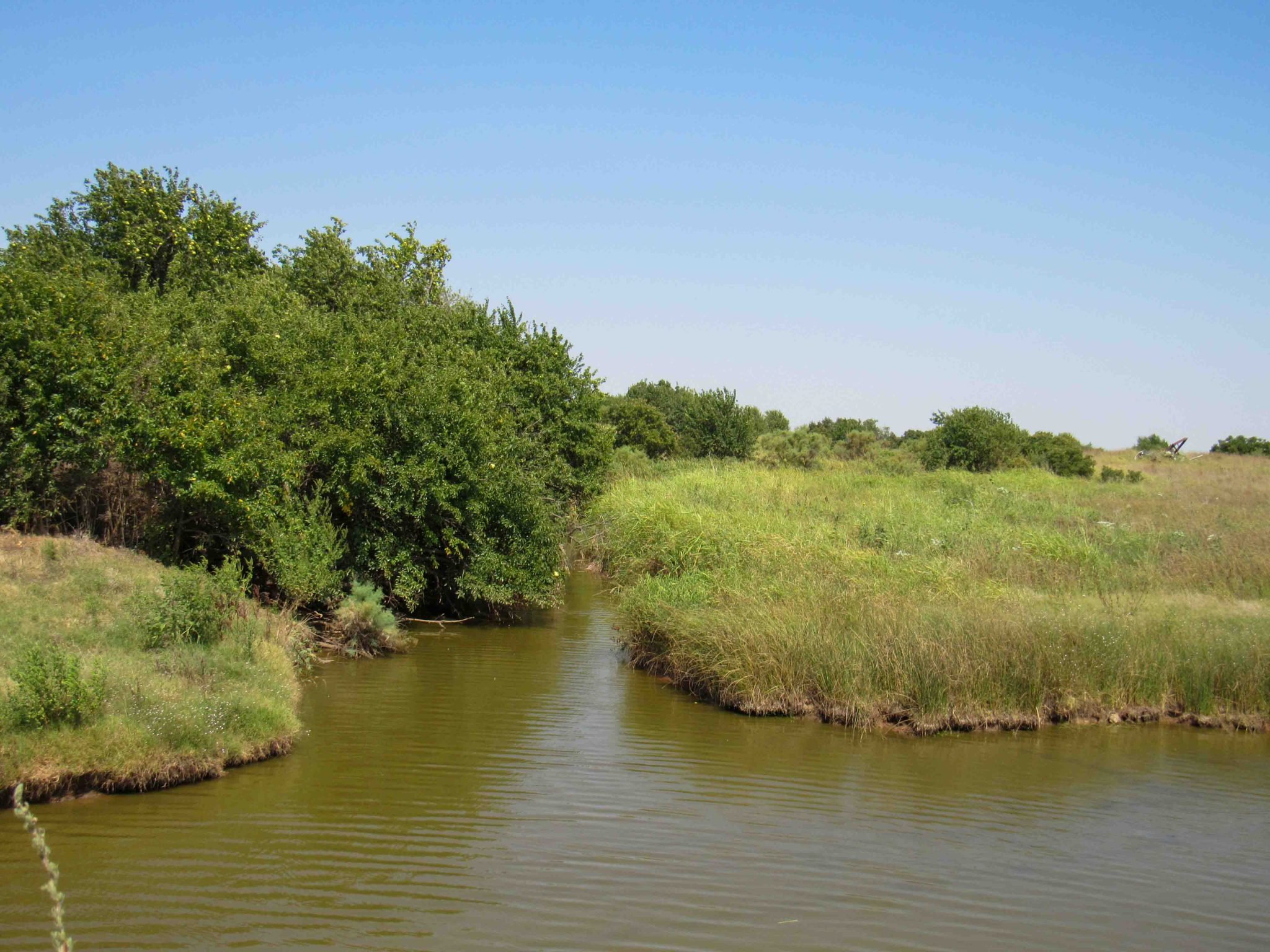 TRACT 3: 9.93± Acres Wakita Oklahoma