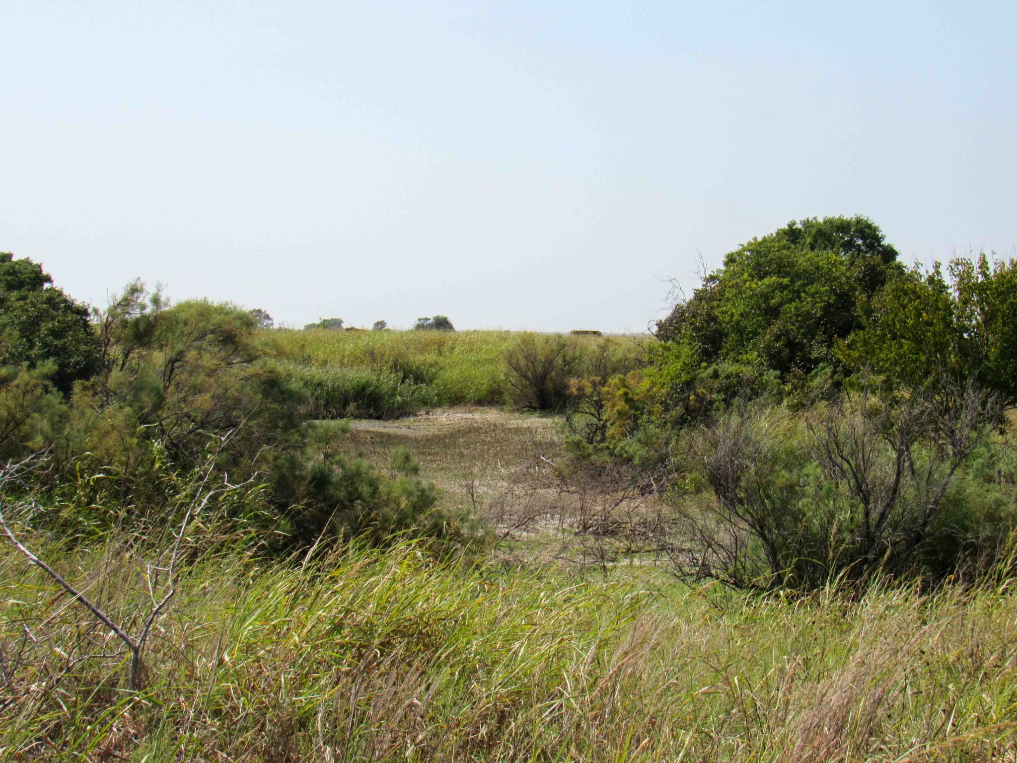 TRACT 3: 9.93± Acres Wakita Oklahoma