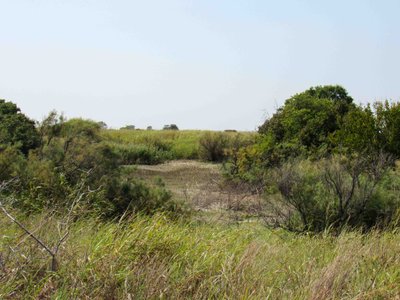 TRACT 3: 9.93± Acres Wakita Oklahoma