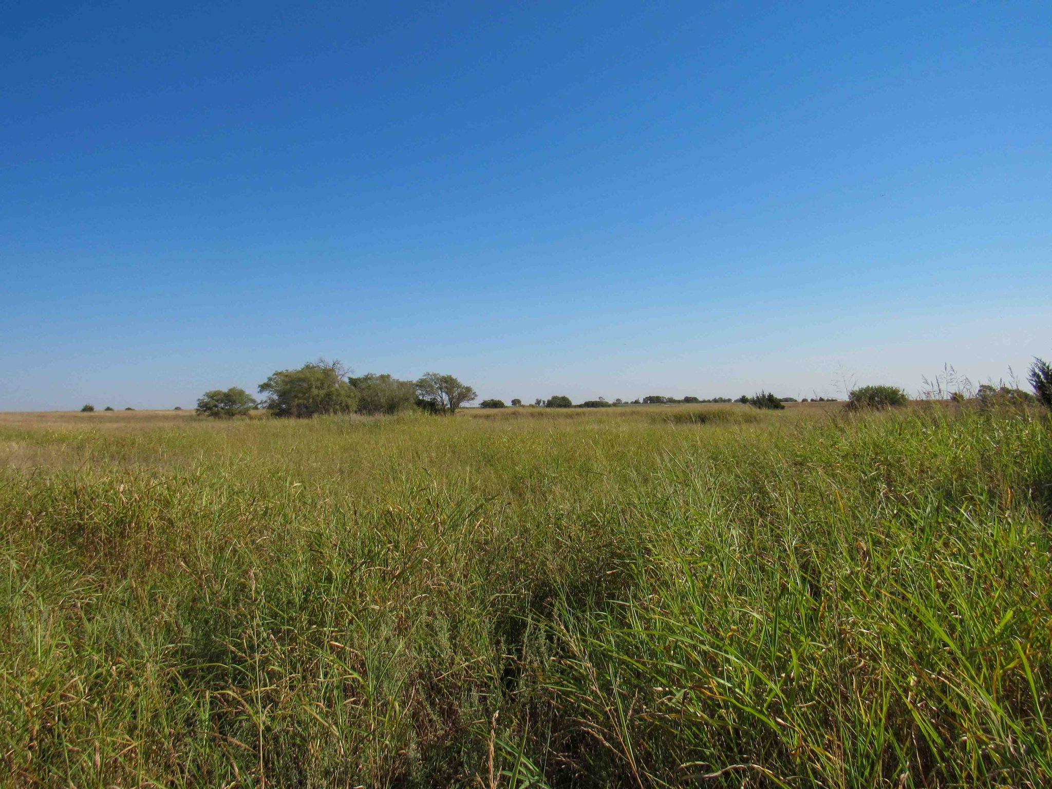TRACT 1: 32± Acres Wakita, Oklahoma