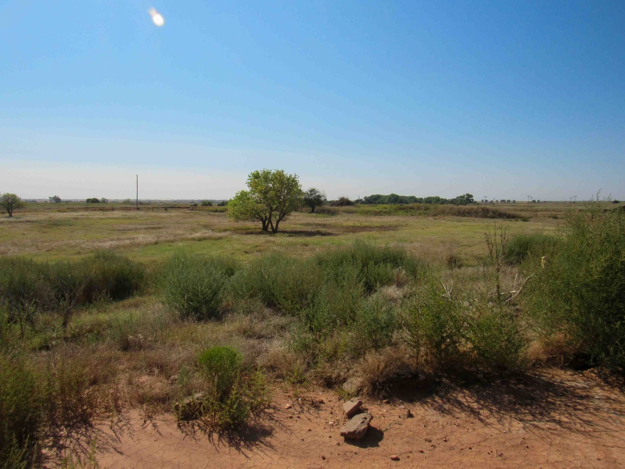 TRACT 2: 14.9± Acres Wakita, Oklahoma