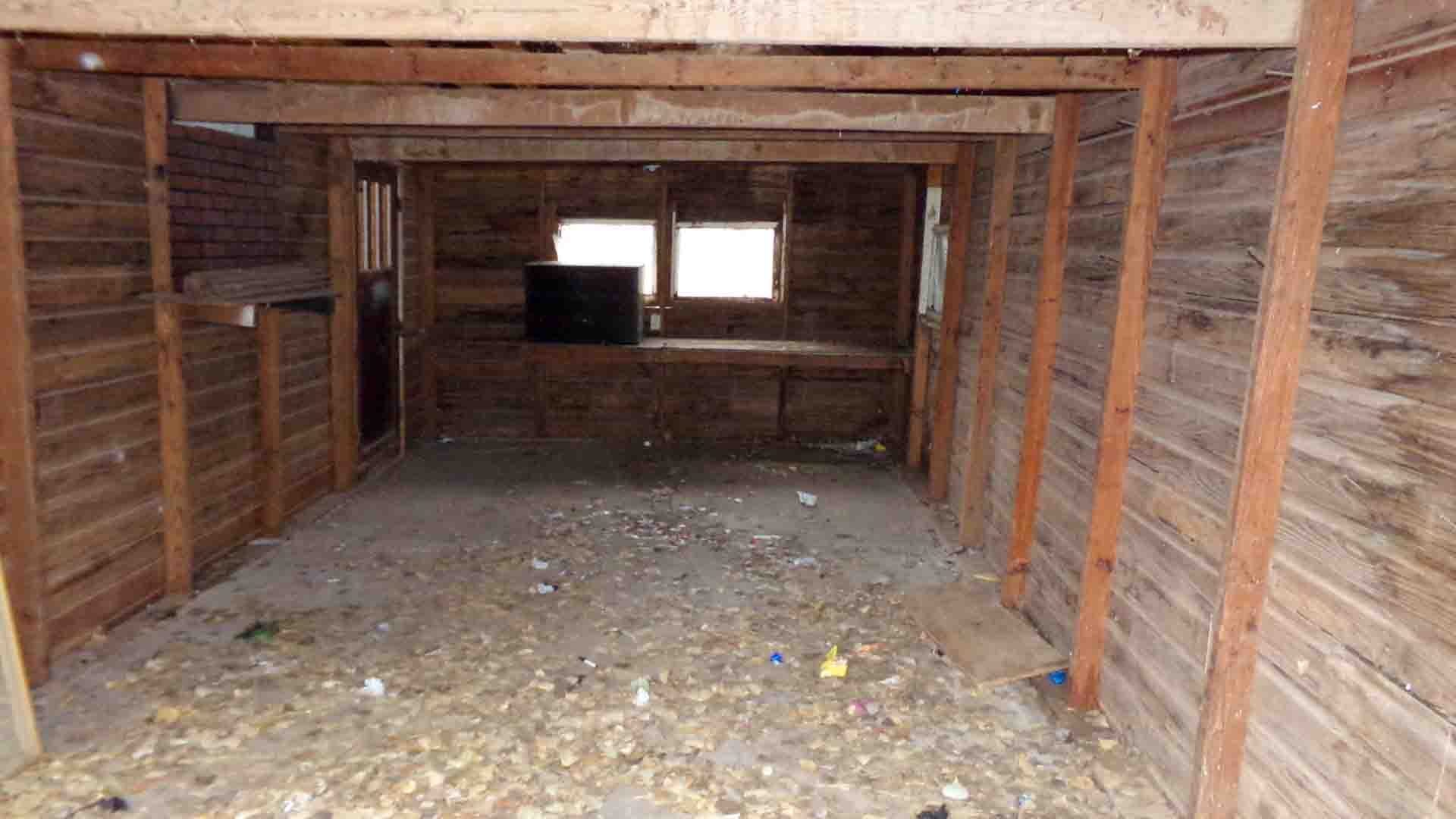 Photo 16