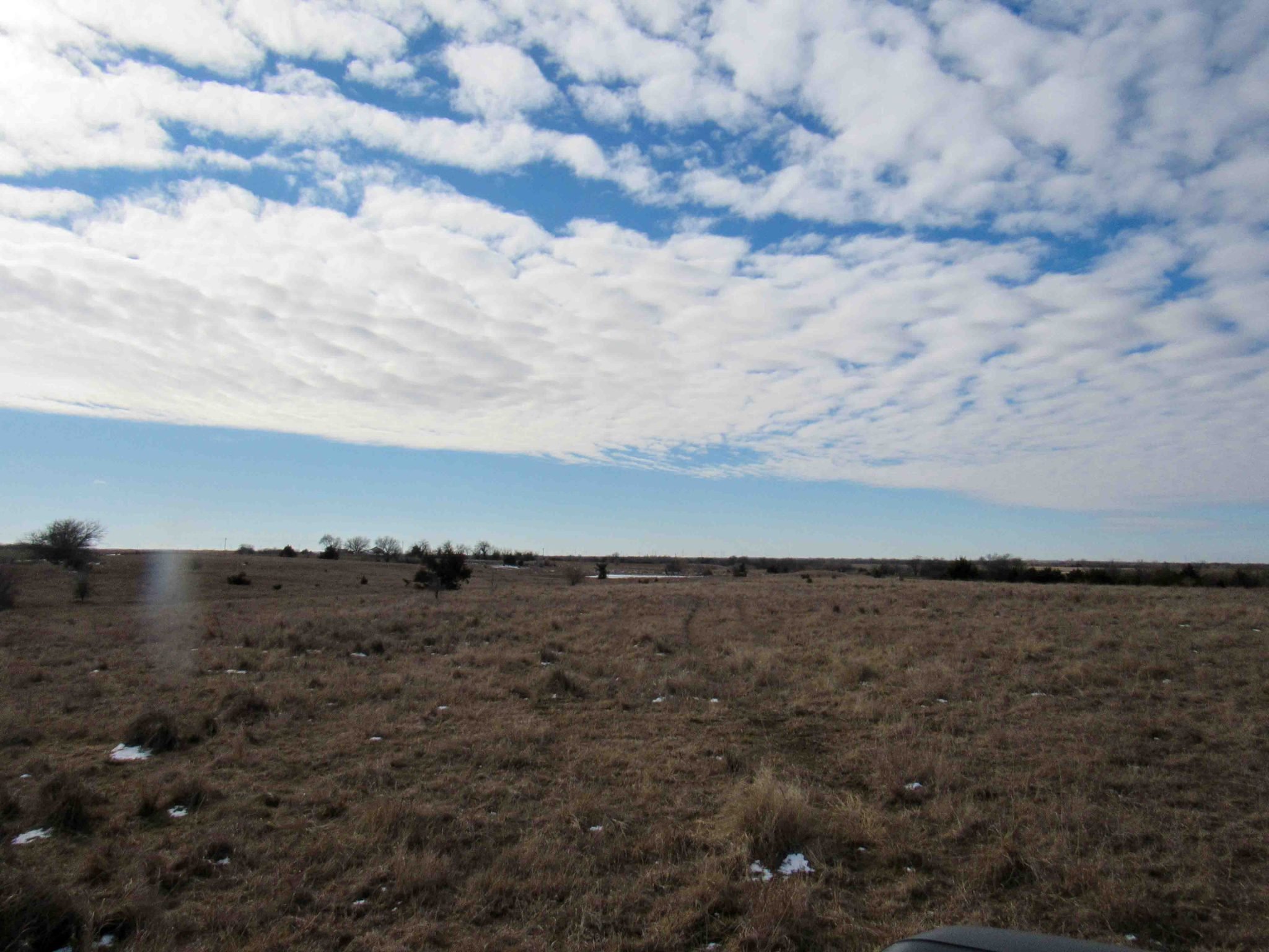 Photo 37