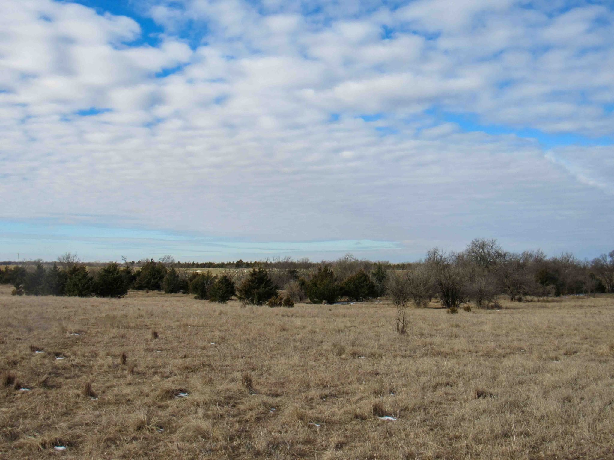 Photo 34