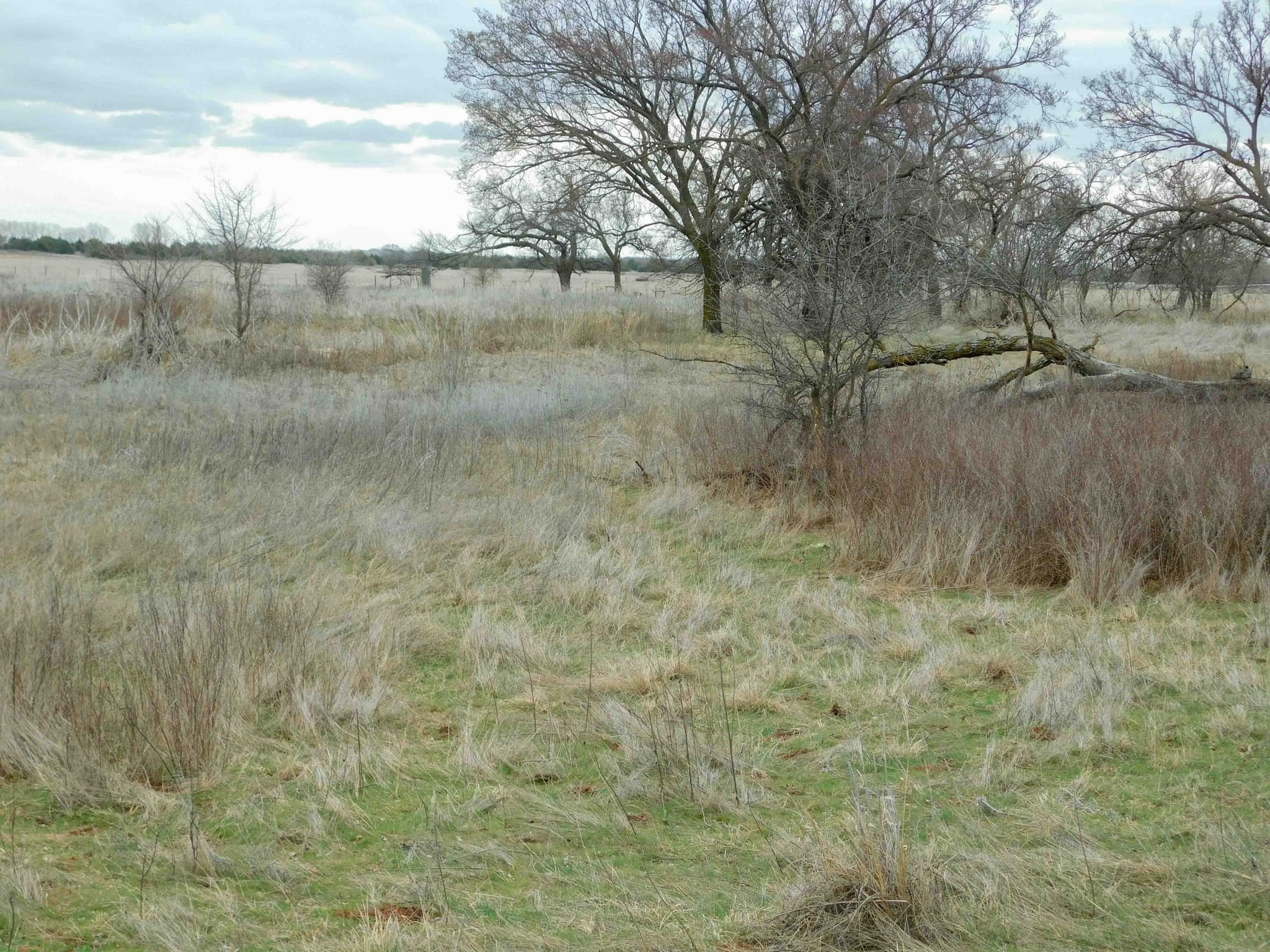 4/16 241.84 ACRES * MAJOR COUNTY * FAIRVIEW AREA * RIVER FRONTAGE * TIMBER * HUNTING