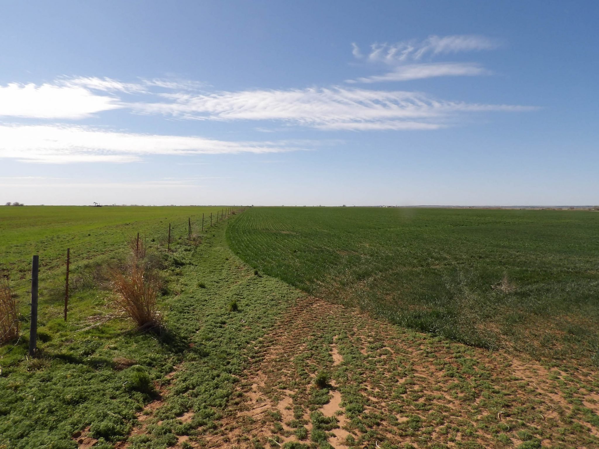 4/24 160± ACRES MOL * CULTIVATION * GRASS * POND * EASY ACCESS * GRAVEL