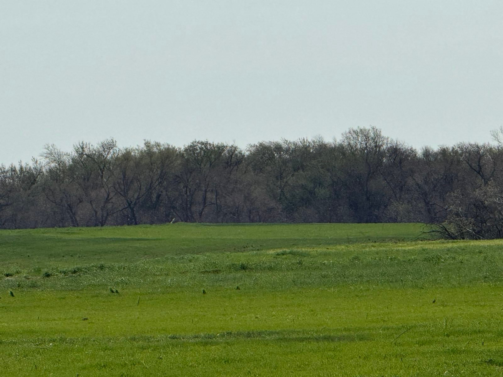 4/28 72.04± ACRE CROPLAND GARBER OK AREA